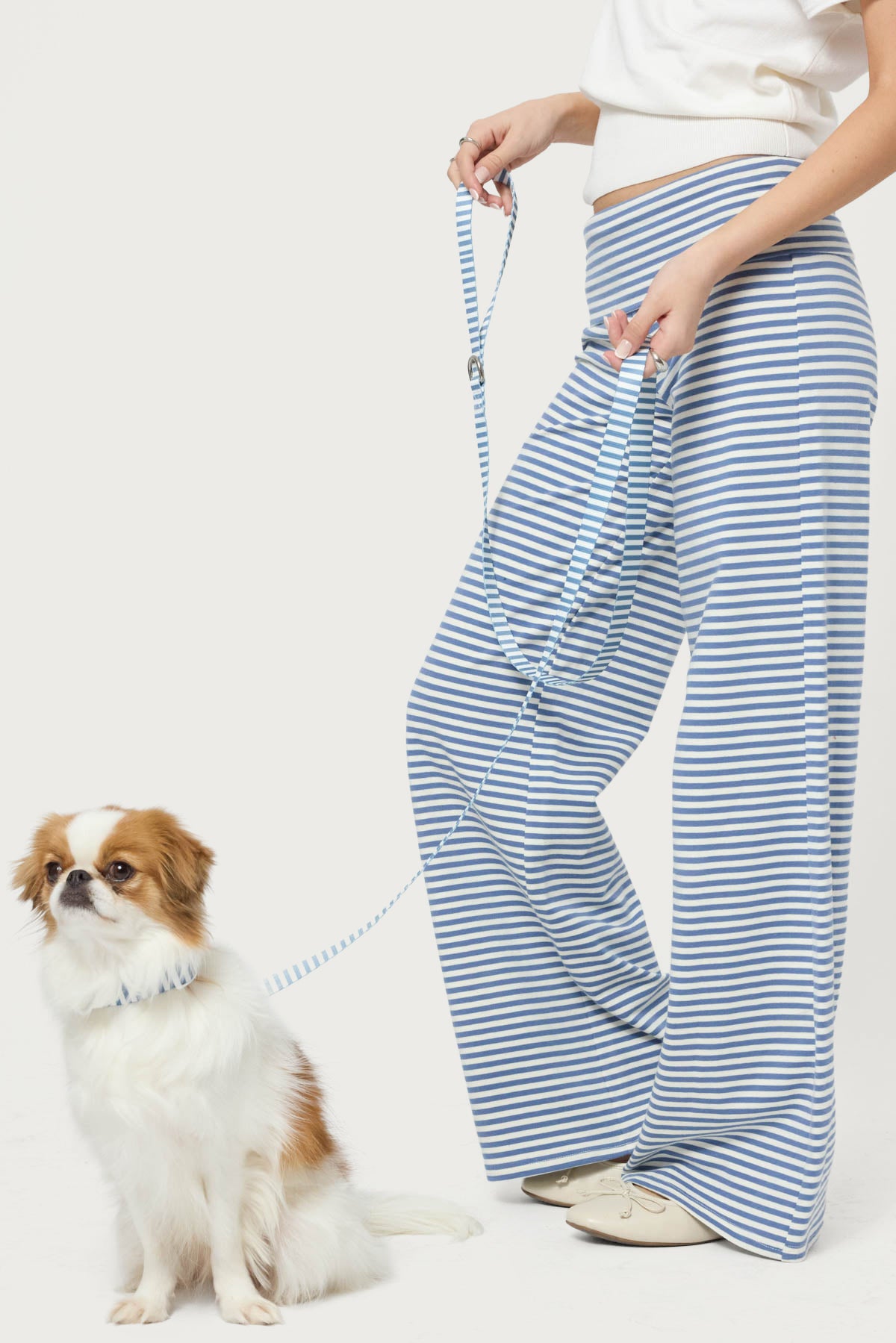 Striped Pet Leash - Image 2