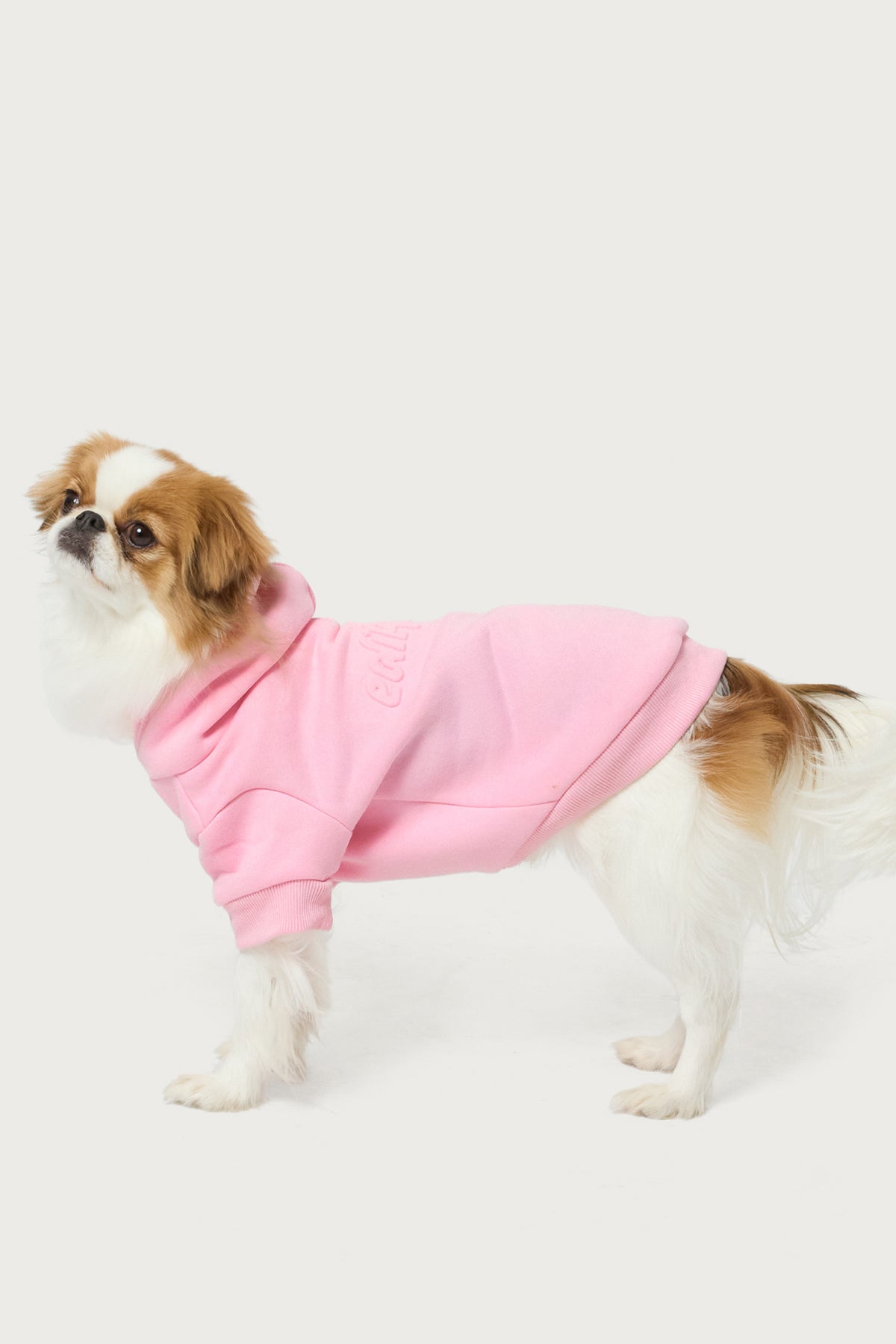 Totally Edikted Pet Hoodie - Image 3