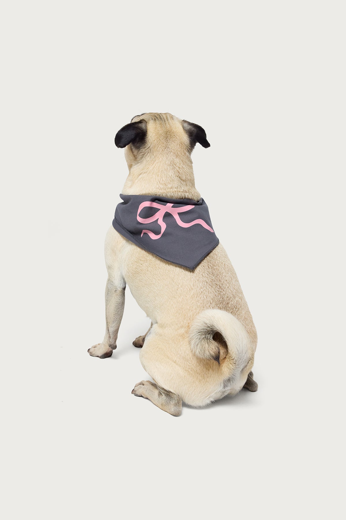 Bonney Bow Pet Bandana - Image 2