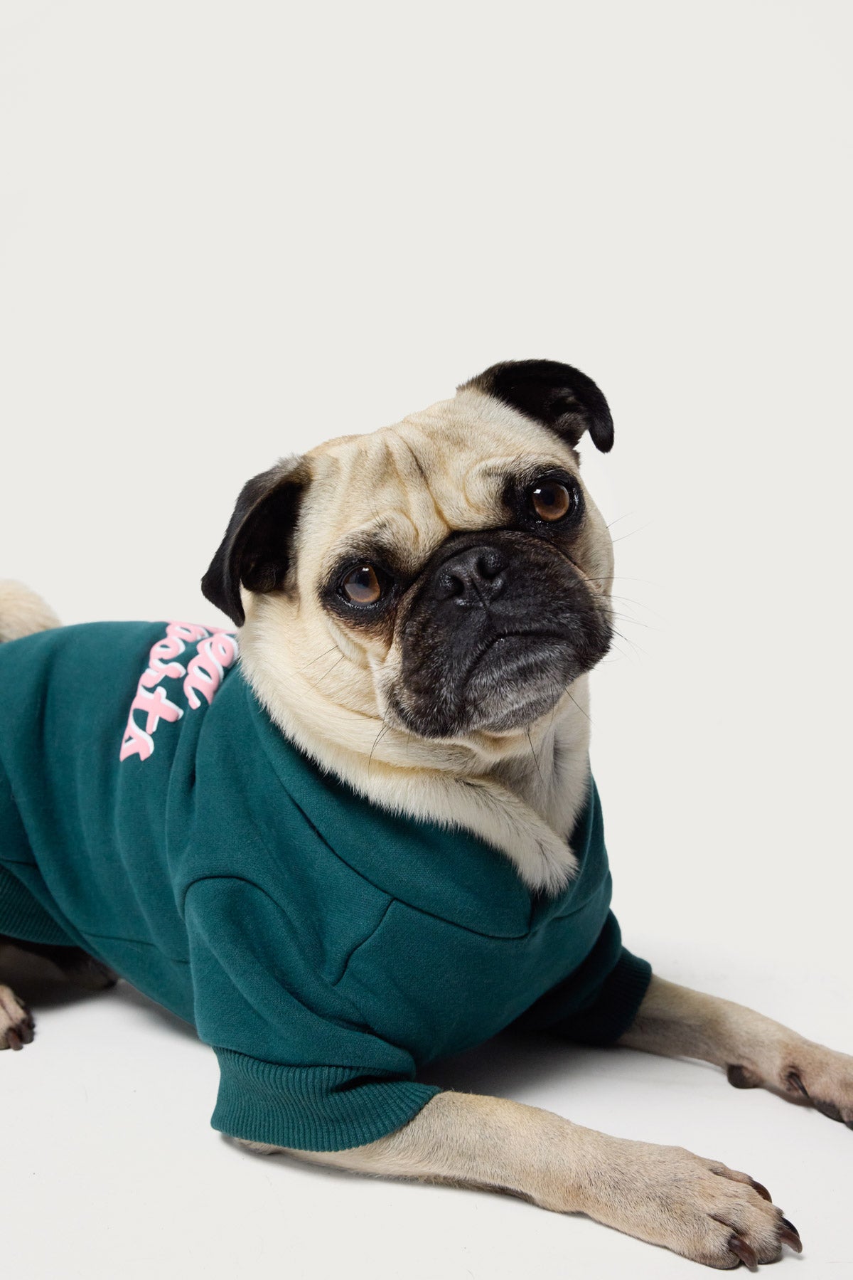 So Sporty Pet Hoodie - Image 3
